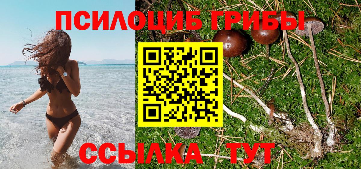 Галлюциногенные грибы Psilocybine cubensis  где купить наркотик  Псилоцибиновые грибы мухоморы  Каменск-Уральский  Вход с VPN 